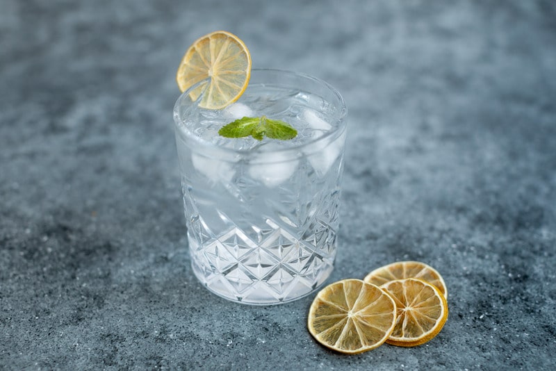 Iced water with dried lemon and an herb garnish